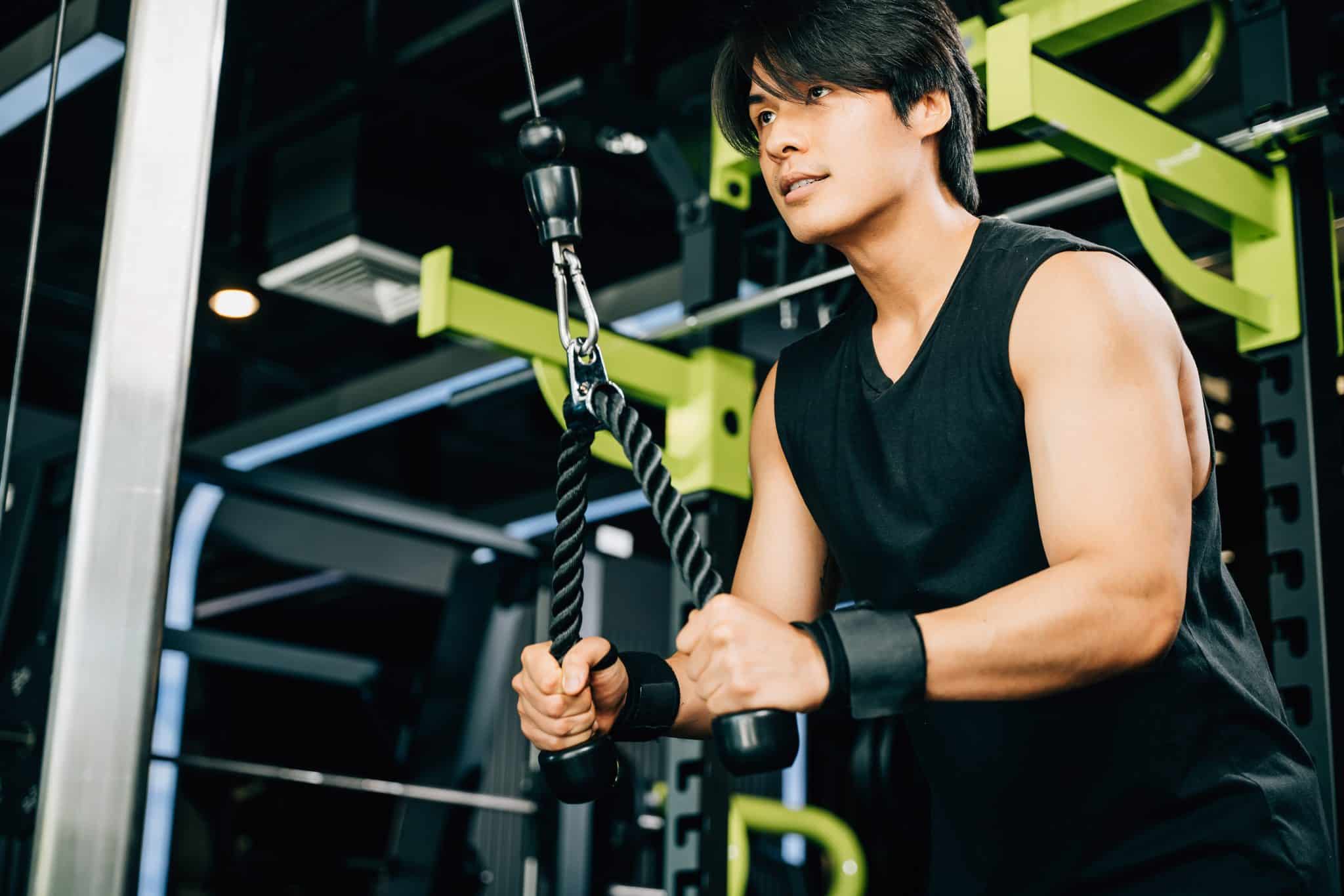 Quels sont les exercices recommandés pour renforcer les muscles du bas du corps ?
